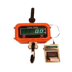 Wireless crane scale with display and printer